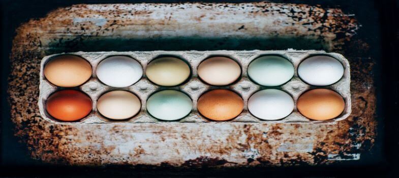 belonging-toolkit-eggs